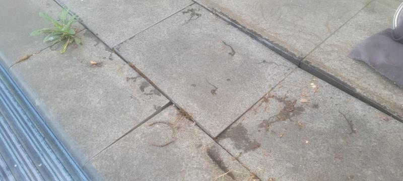 IMG-20250923-WA0000