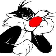 Sylvester